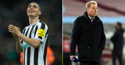 Harry Redknapp believes Newcastle United star could 'get into any Premier League starting XI