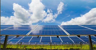 Plans for a solar farm to be built in the Cynon Valley have been approved by councillors