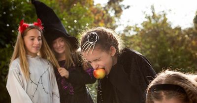 'Why are Brits copying an American Halloween that's more trick than treat?'