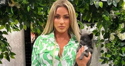 Katie Price 'in bits' after losing pet chihuahua on 'millionaires' playground' holiday