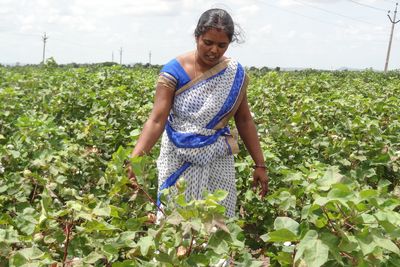 One of India’s richest temples goes organic with its laddus