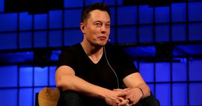 Elon Musk 'stole idea of charging for insults and arguments from Monty Python'