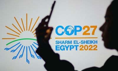 Egyptian regime criticized as climate activist arrested in run-up to Cop27