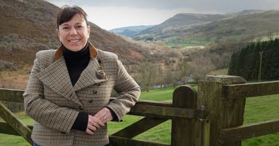 More than a quarter of South Scotland tourism businesses contemplating permanent closure