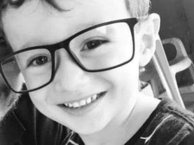 Boy dies from multiple heart attacks after scorpion sting while putting on shoe in Brazil