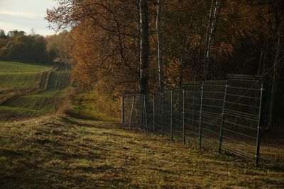 Poland to build razor-wire fence on border with Russia's Kaliningrad