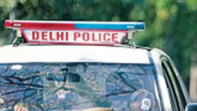 HC asks Delhi Police to trace man, 3-yr-old Ukrainian son on mother's plea