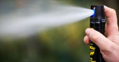 Lanarkshire man admits arming himself with illegal pepper spray