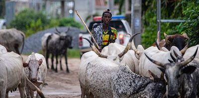 Nigeria's deadly conflicts over water and grazing pasture are escalating – here's why