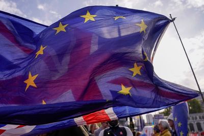 EU referendum has failed to settle Brexit question, says polling guru OLD