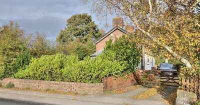 Charming 300 year old cottage with farm views and lush gardens