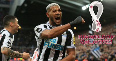 When Newcastle United star Joelinton will discover whether his World Cup dream comes true or not