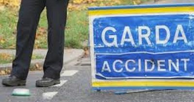 Gardai shut road after horror crash in Meath