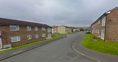 Woman in hospital after stabbing and two other women arrested in Ystradgynlais