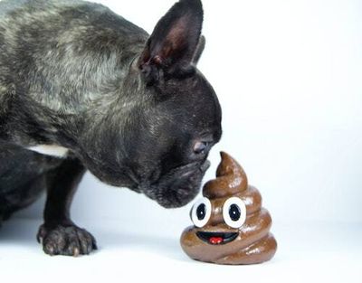 A new Adobe report confirms no one likes the poop emoji