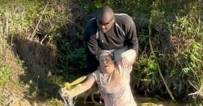 Hero paraglider saves woman from alligator after daredevil emergency landing