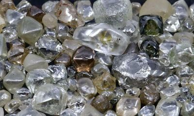 Contraband handbags, diamonds and vodka auctioned off by French government