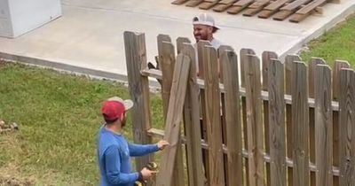 Woman takes 'ultimate revenge' on cheeky neighbour who built a fence through her garden