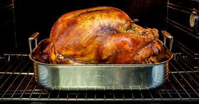 Expert warns bird flu outbreak in Ireland could result in no turkeys for Christmas