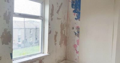 Woman in hysterics after finding hidden note from 30 years ago under wallpaper