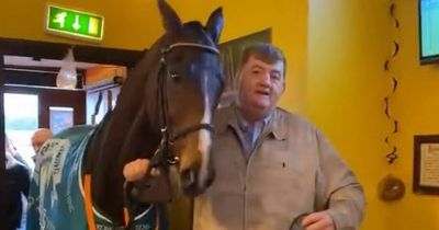 Irish trainer blasted for "cheap laugh" by animal rights group for parading horse in pub