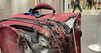 People gobsmacked by state of passenger's 'chewed up' suitcase as it lands in tatters