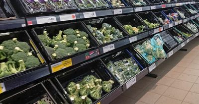 More than 1,000 families across Nottinghamshire missing out on free fruit, vegetables and milk