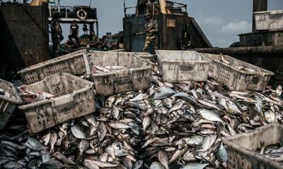 At least 6% of global fishing ‘probably illegal’ as ships turn off tracking devices