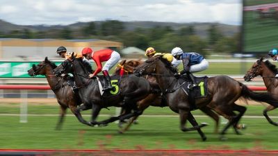 ACT government distances itself from plan to demolish Thoroughbred Park, Canberra's only horse-racing venue