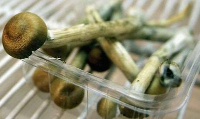 Magic mushrooms compound found to ‘significantly reduce’ depression symptoms in major trial