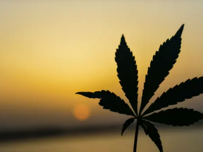 Marijuana Regulators In Nevada, Colorado Market, Cannabis Education New Mexico, California Grant