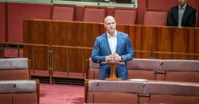 David Pocock calls for tripling of ACT Senate seats