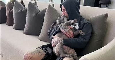 Travis Barker mourns his beloved pet after 'the best dog' Blue dies