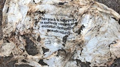 Most 'home-compostable' plastic doesn't fully break down in compost bins, UK study finds