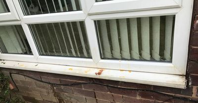 Leeds woman had to call ambulance after youths lobbed concrete at her house