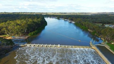 River Murray flows into SA could now peak at 150 gigalitres per day if flooding continues