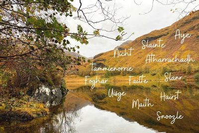 We are showcasing a Scots and Gaelic series ahead of Language Bill consultation