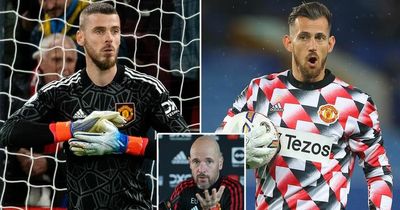 Erik ten Hag's analysis of David De Gea explains his puzzling Martin Dubravka decision