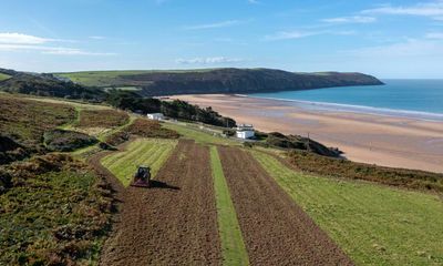 National Trust to plant 1,200 hectares of flower-filled grassland in Devon