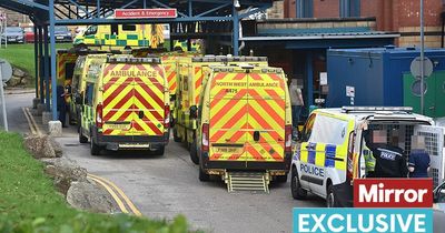 Hospital where pensioner died in ambulance outside is 'like a warzone' says paramedic