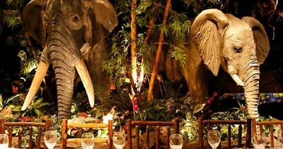 Lost jungle-themed restaurant loved for 'thunderstorms' and 'moving animals'