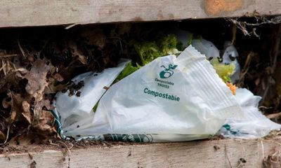 ‘It’s greenwash’: most home compostable plastics don’t work, says study