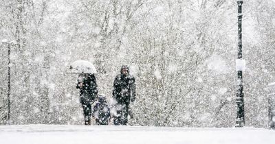 Met Eireann November snow verdict as Ireland temperatures forecast to plummet to freezing