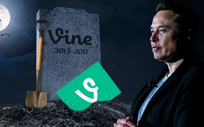 ‘Chief Twit’ Elon Musk shows interest in bringing Vine back from the dead