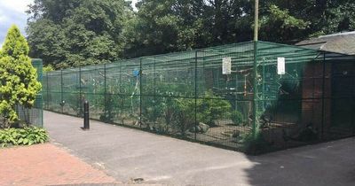 Popular aviary centre closes doors after latest outbreak of bird flu