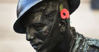 How to add a Remembrance Poppy to your Facebook, Twitter or Instagram picture