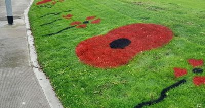 'Lest we forget': Stunning poppy display appears at heart of Ayrshire town