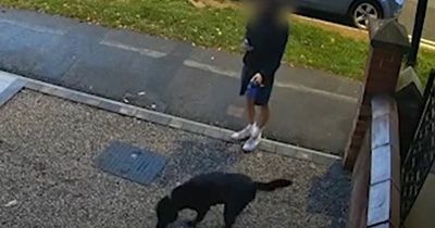 Teen filmed as he allowed dog to poo on drive told 'come and get it'