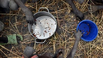 Nearly eight million at risk of starvation in South Sudan