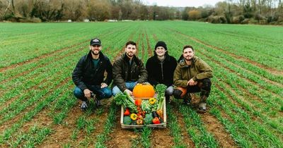 Bristol's first commercial allotment business to open near Leigh Woods